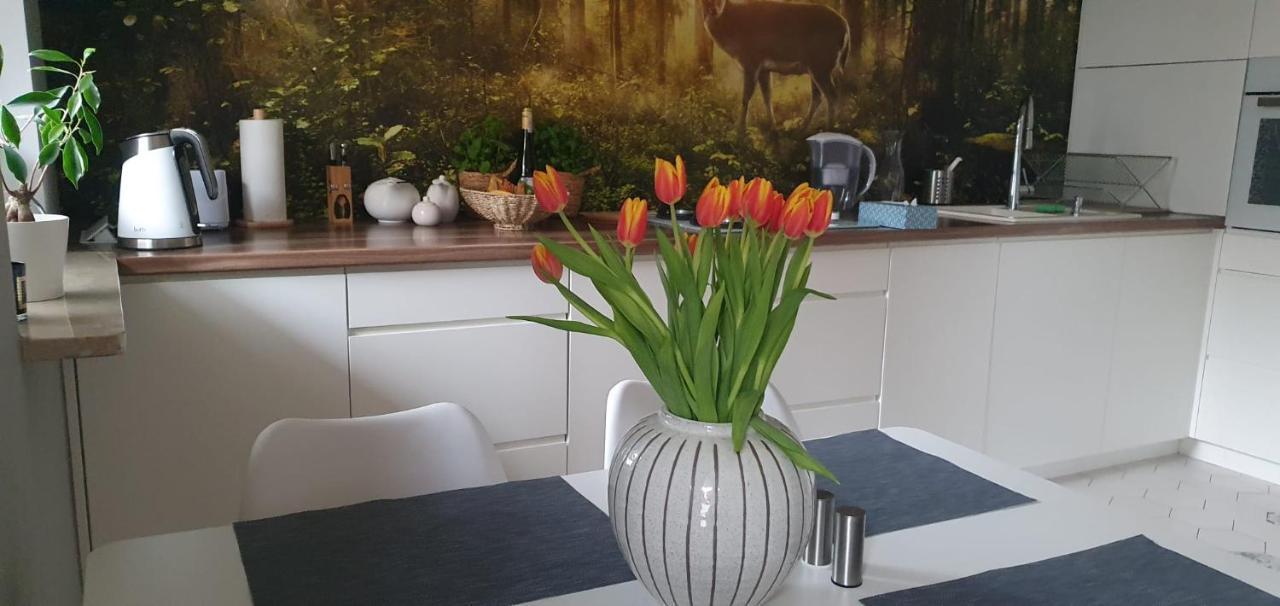 Apartament Z Tarasem Przy Parku Βαρσοβία Εξωτερικό φωτογραφία